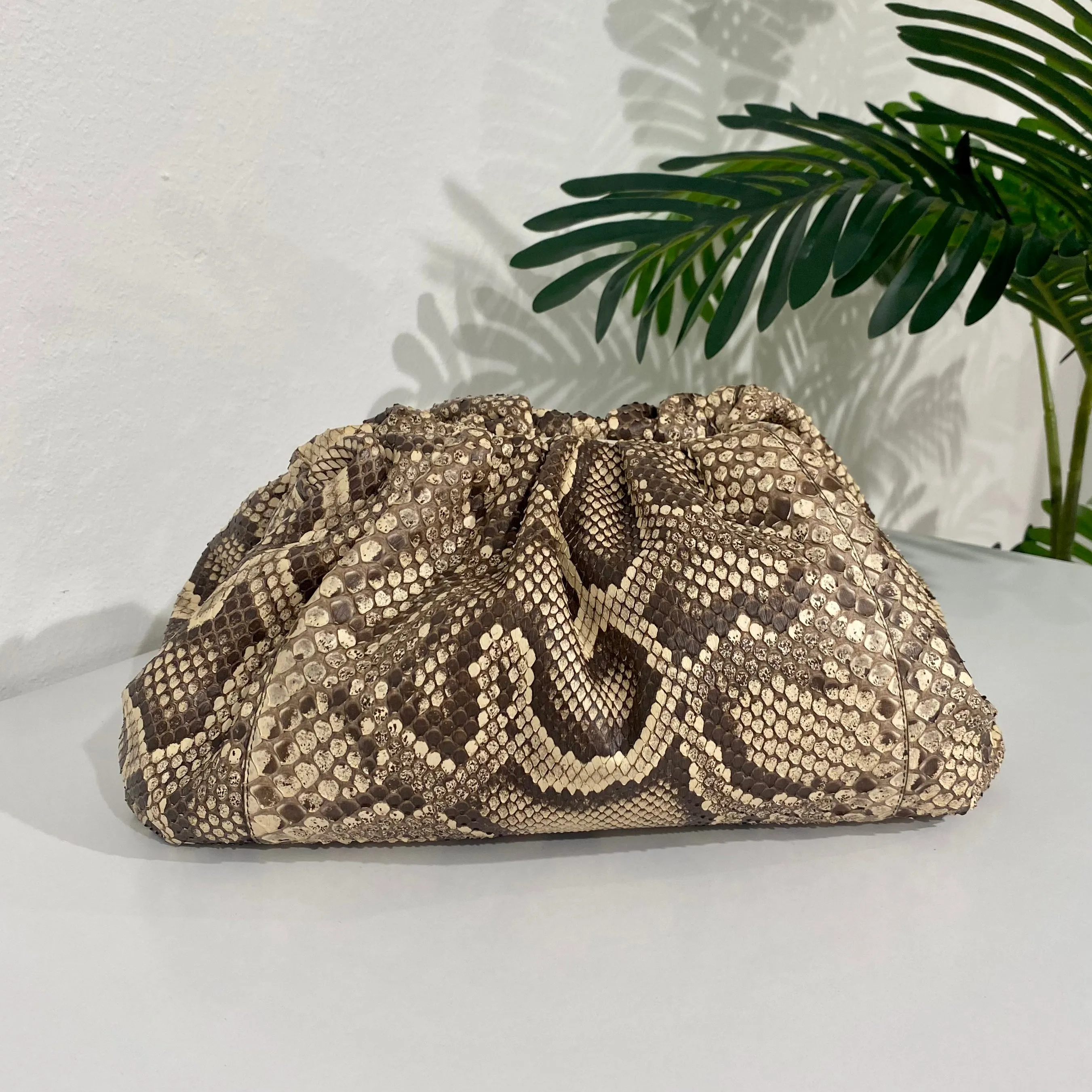 Bottega Veneta Python The Pouch