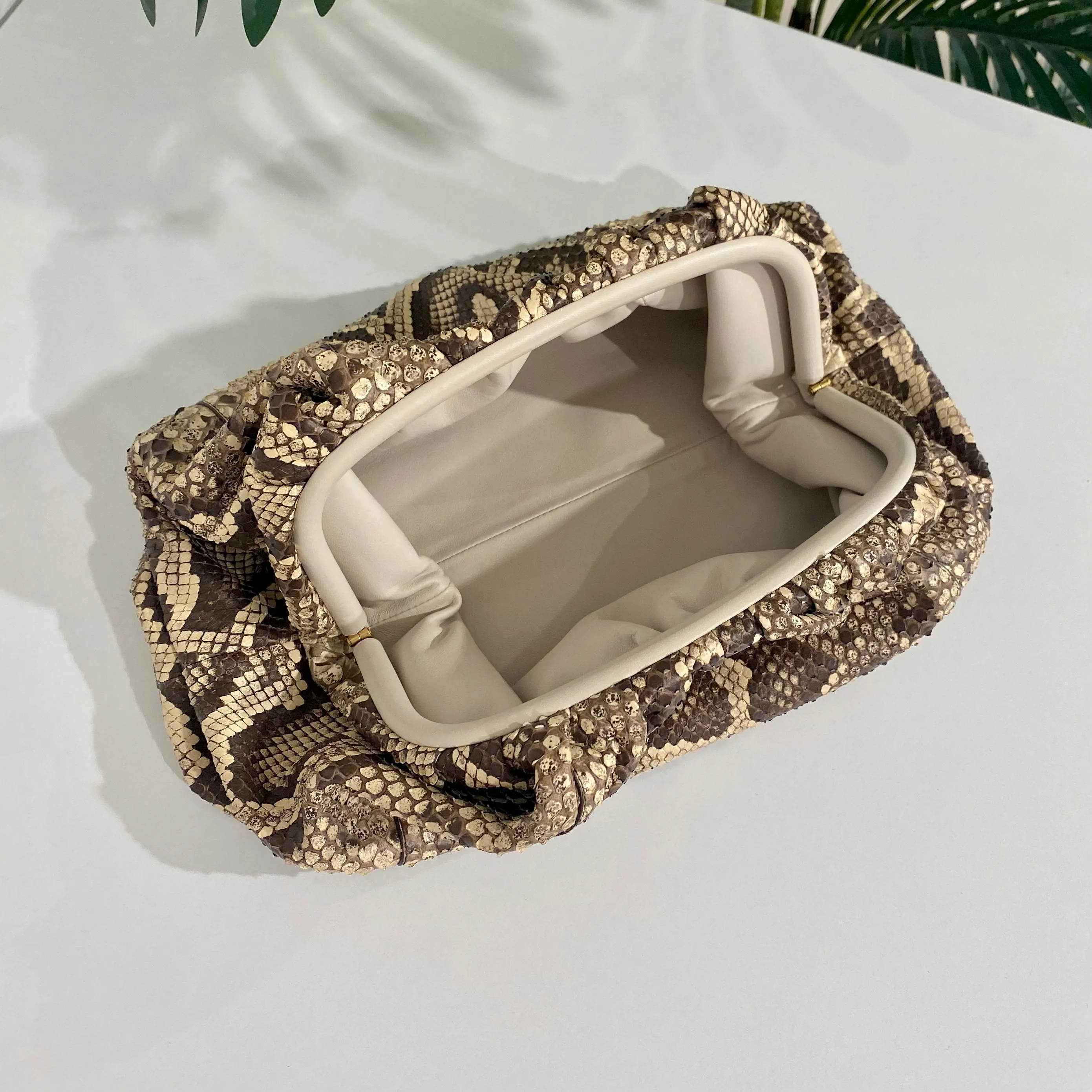 Bottega Veneta Python The Pouch