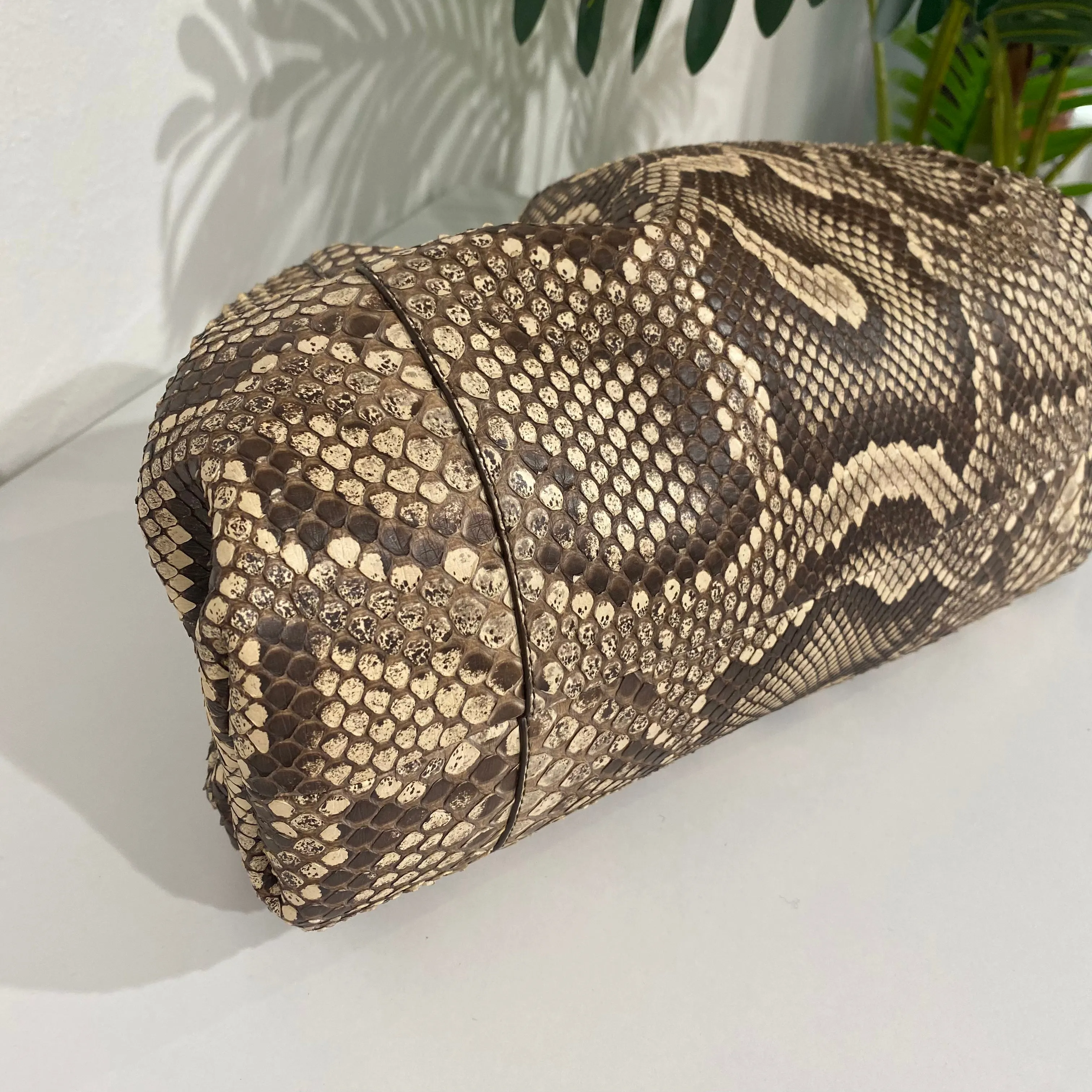 Bottega Veneta Python The Pouch