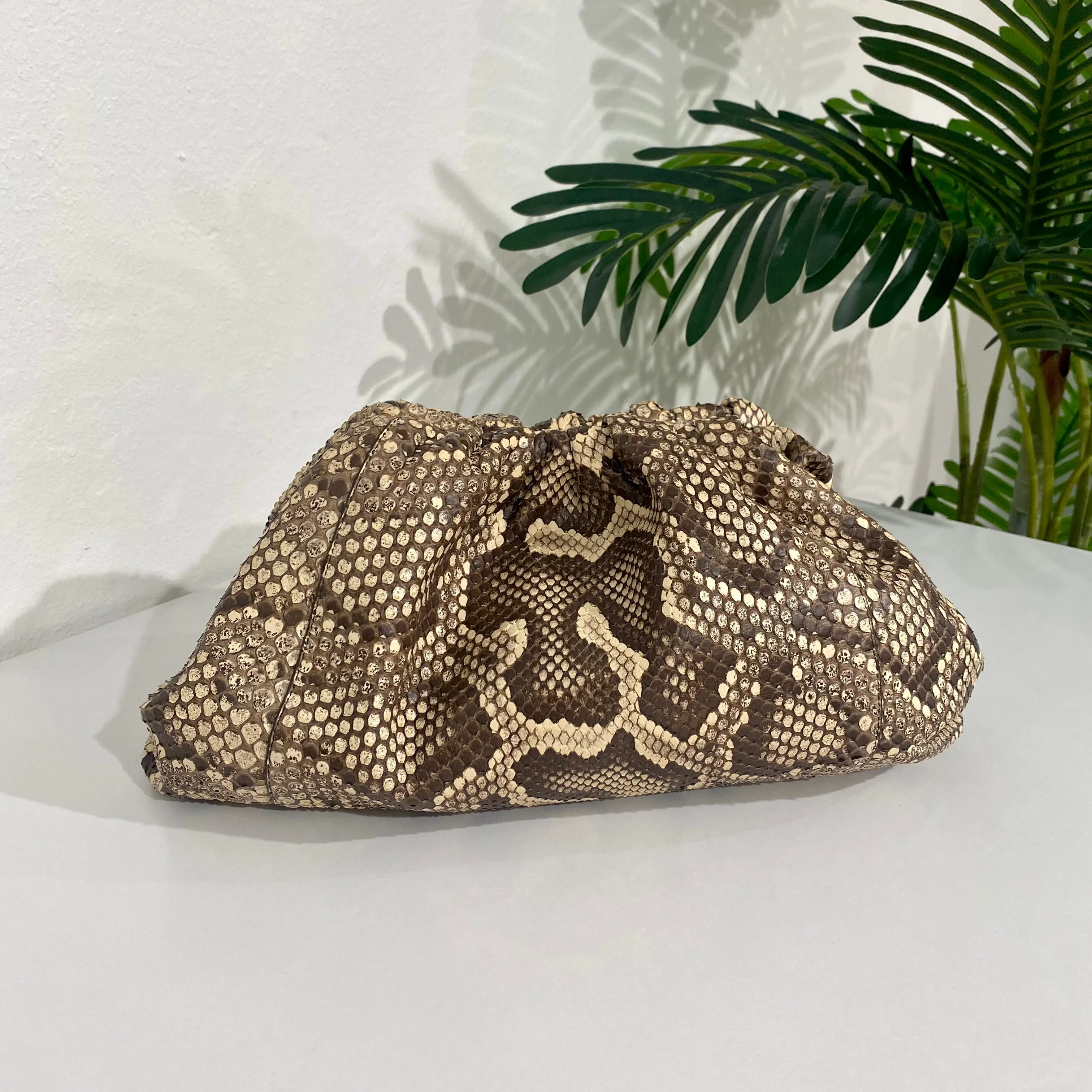 Bottega Veneta Python The Pouch