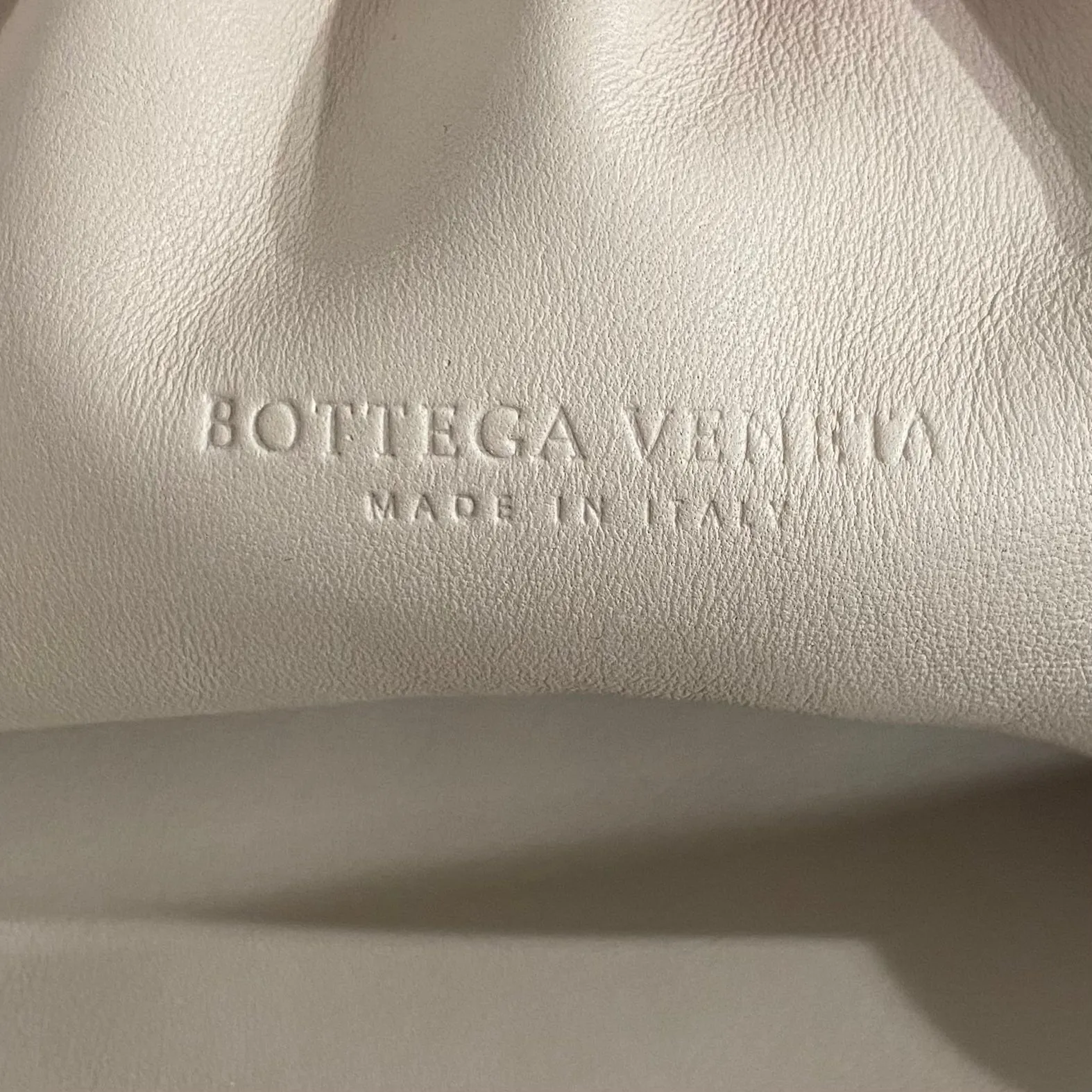 Bottega Veneta Python The Pouch