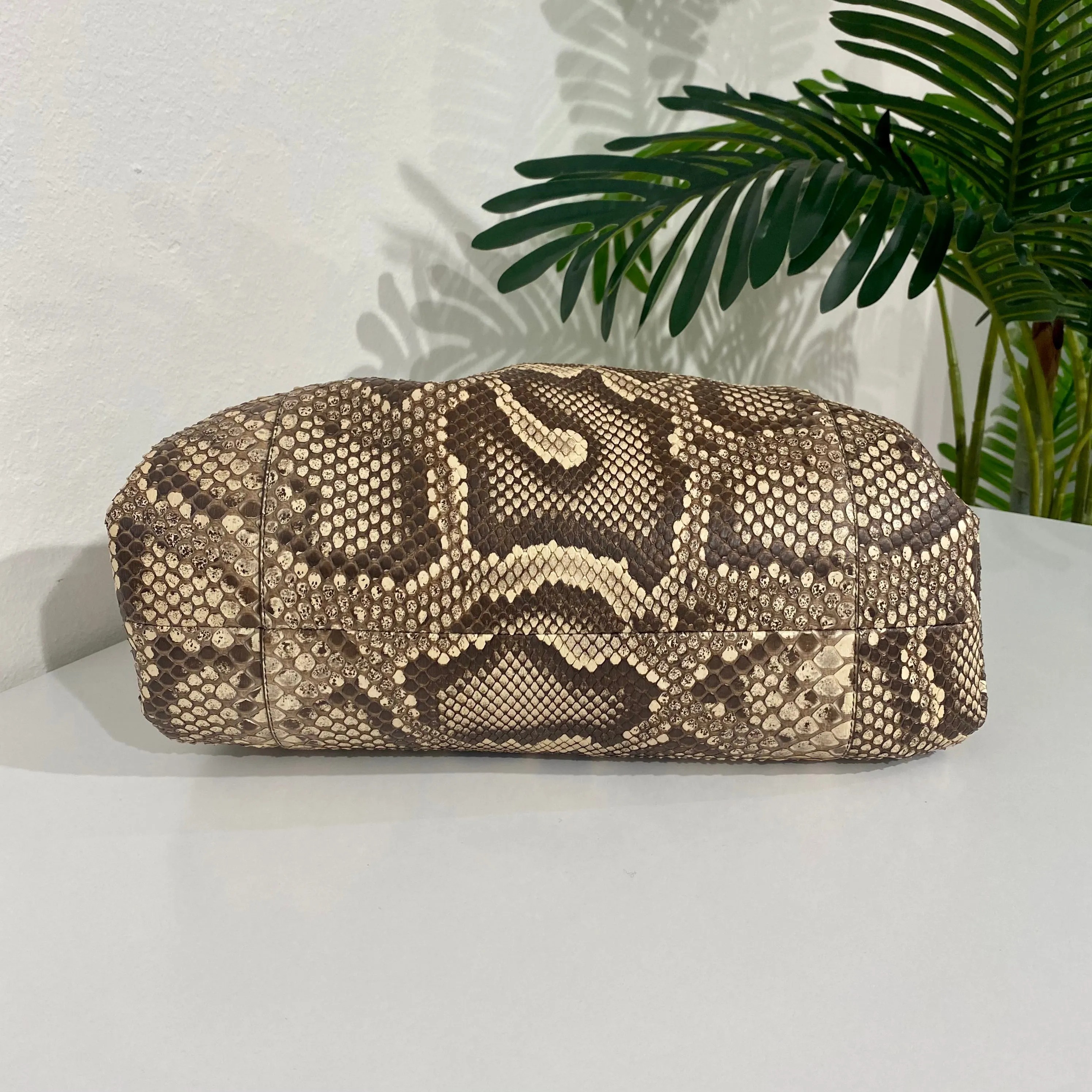 Bottega Veneta Python The Pouch