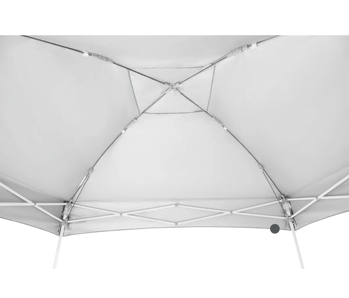 Dome® 10' x 10' Canopy