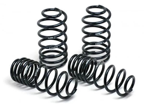 Eibach Mustang Mach E GT Lowering Springs